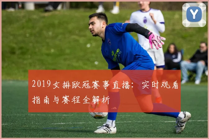 2019女排欧冠赛事直播：实时观看指南与赛程全解析